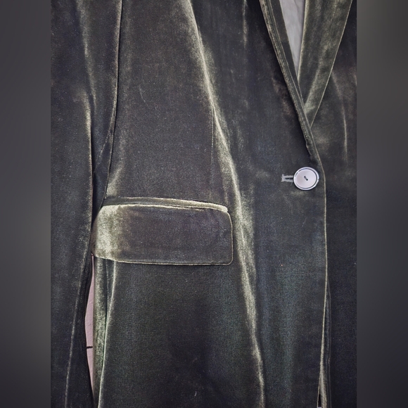 Massimo Dutti Green Velvet Blazer Sz 6 - Picture 10 of 16